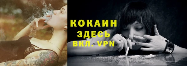 спиды Алексин