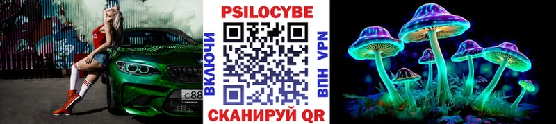 Галлюциногенные грибы Psilocybe  Аткарск 